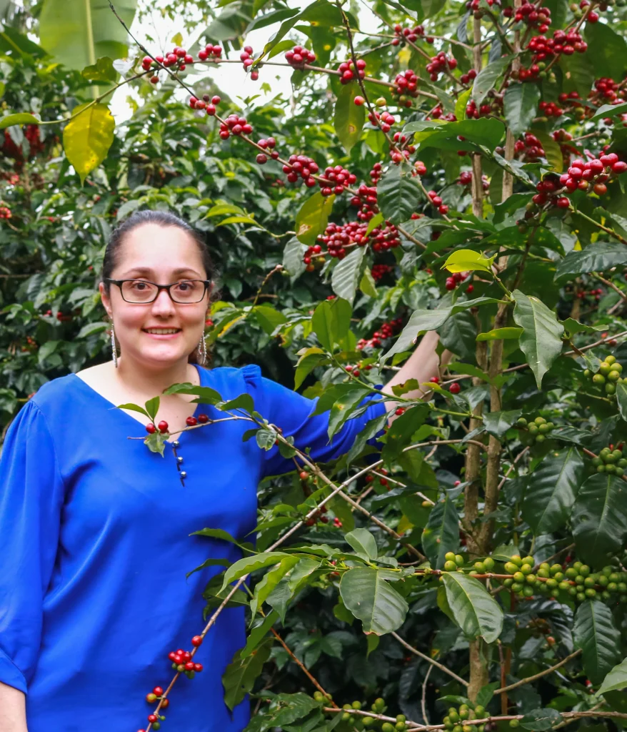 café de altura Costa Rica