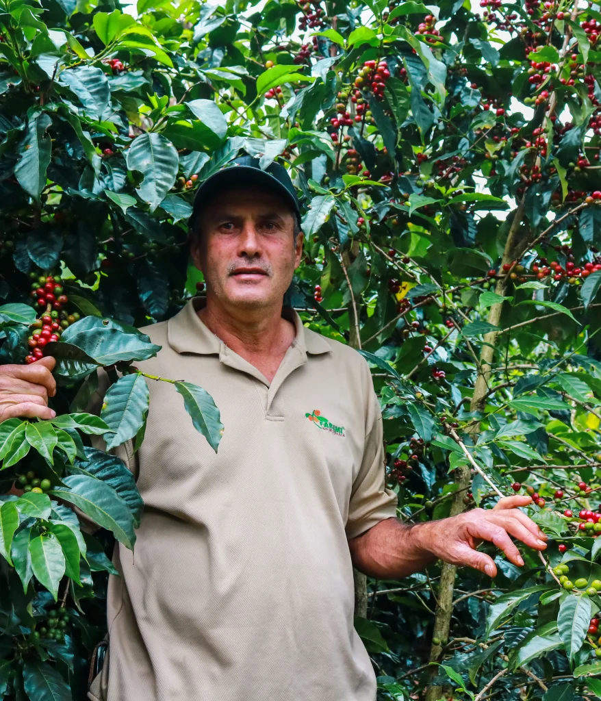 café de altura Costa Rica