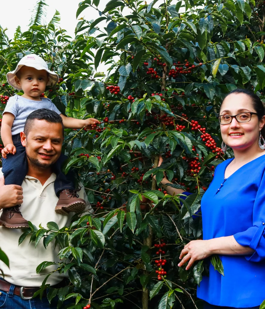 café de altura Costa Rica